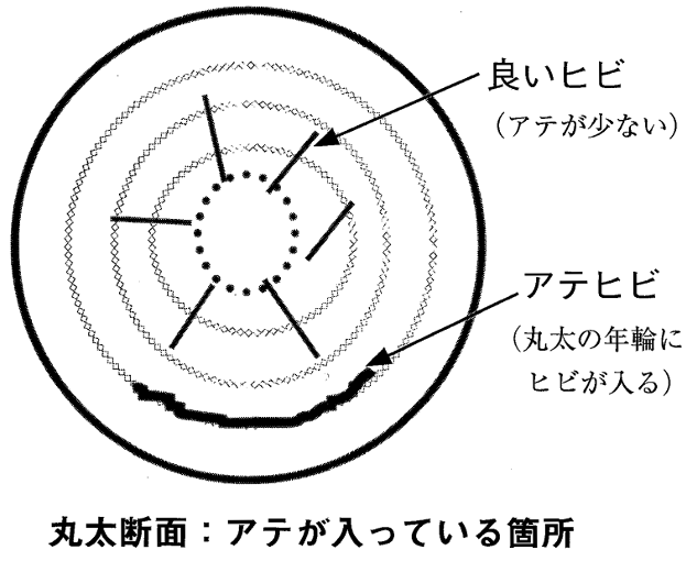 インフィル・テクノロジー